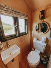 Flushing toilet