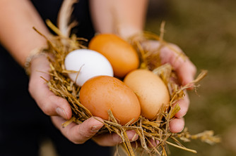 Eggs for breakfast