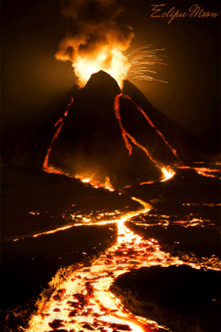 9ff1d656c55ac89b7c59f3737eeb0367.gif