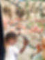 IMG_6257.jpeg