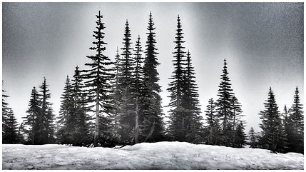 IMG_20150524_175429131_HDR.jpg