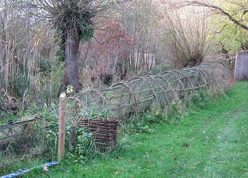 Hollanti -09 017.jpg