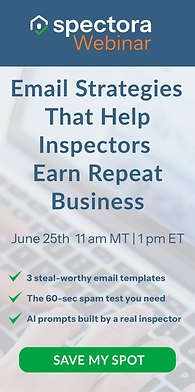 InterNACHI Newsletter Ad - Beyond the Inspection Report (1).png