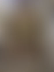 Day 1: The Journey Begins  