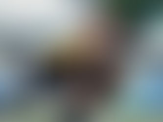 「先機國際男子欖球聯賽」
華利險被猛虎偷襲成功
九龍出閘即脫腳