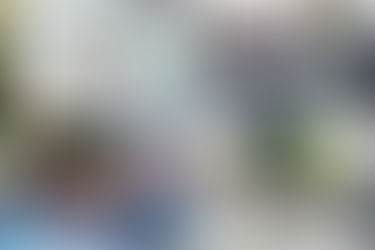 第64屆體育節賽艇夏日祭於今日假觀塘發現號03舉行,市民一家大小到場以體育活動樂享天倫,一同投入全城運動熱潮,迎接奧運盛事。