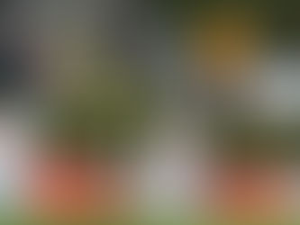 「香港高爾夫球公開賽」今早粉嶺球會開鑼前賽事冠軍奧爾斯比及來自日本的大槻智春同樣打出低標準桿5桿的成績. 暫時領先榜首. 香港最年輕球員楊曉威表現出眾以69桿成績完成首圈賽事.