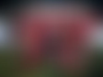 All Blacks三俠助陣BGC APDs
為球隊力爭第4個GFI香港足球會十人欖球賽錦標