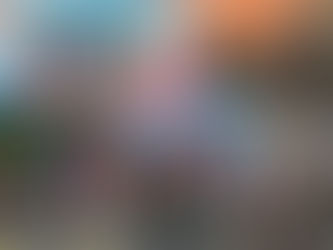 新鴻基地產香港單車節 - 2016