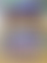 「國泰/滙豐香港國際七人欖球賽」中國香港男子、女子七人欖球代表隊決選名單一錘定音男、女子隊首次在滙豐世界七人欖球系列賽同場獻技姚錦成第70次代表中國香港出戰七人欖球賽.