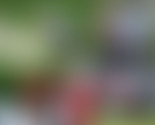 在第五屆「盈豐香港女子高爾夫球公開賽」展開首圈賽事 中國球員杜墨含 張維維分別領先榜首及次名位置