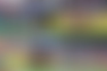 「亞洲七人欖球系列賽」韓國站港隊大軍已定, 八位曾出戰「國泰航空/滙豐香港國際七人欖球賽」的球員將再次上陣.