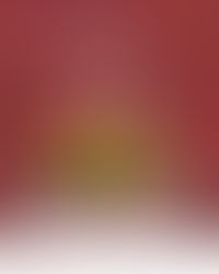 「台維斯盃2026香港站」決戰倒數 「Team HK 打氣套裝」今日開售全民集氣「撐盡無悔」  齊心凝聚主場力量