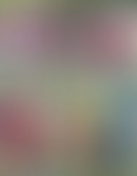 「畢馬威女子欖球超級聯賽」
鳳凰較九龍棋高一著