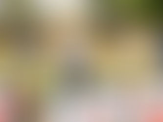 美國職業棍網球員Kyle Harrison主持訓練營
訓練香港代表隊基本技術備戰世界盃