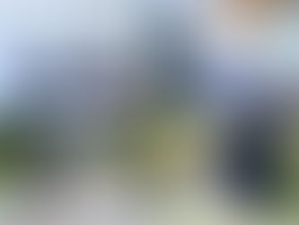 瑞士盈豐銀行繼續支持香港高爾夫球手陳芷澄和劉弦
