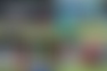 中國香港男子十五人欖球代表隊亞錦賽大勝馬來西亞, 自 2019 年以來首次主場出擊旗開得勝.