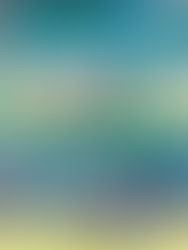 香港女子七人欖球代表隊在廣州番禺的「2020奧運亞洲區外圍賽」中,於小組賽取得兩勝一負後,以A組次名出線,並在四強鬥B組首名哈薩克。