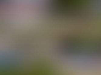 李家禧桿位發車奪得賽道英雄-貳A5/A6/A7組比賽全場冠軍