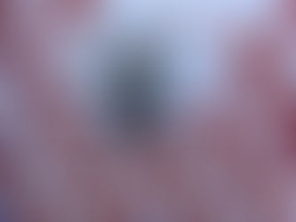 TKS returns to Asian Le Mans Series!