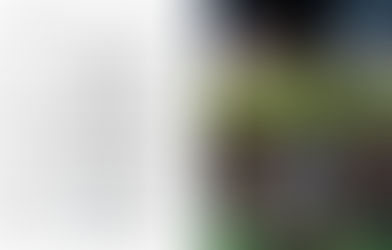 Samurai RFC Warriors roll out the big guns forTradition HKFC 10s