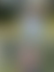 「國際都會高爾夫球錦標賽」粉嶺球場掀戰幔, 逾20位本地高球精英全力火拼世界級高手.