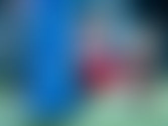 華利大勝木球會提早封王