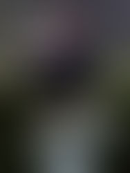 亨利克斯滕森及亞倫賴落實出戰「2019 香港高爾夫球公開賽」