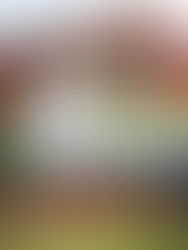 Record Breaking Champion Sung Hyun Park Set for
HSBC Women’s World Championship Return
‘Asia’s Major