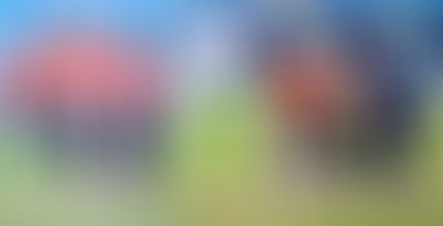 SDG FairBreak女子T20板球邀請賽2022 - 第八日, Tornadoes大敗, South Coast Sapphires晉級出現一線生機.