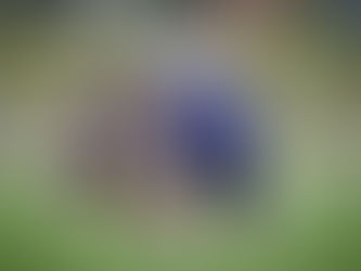 春季男女子混合聯賽開鑼 新手球員發揮潛能
香港棍網球培訓計劃隊「大中華盃」屈居亞軍