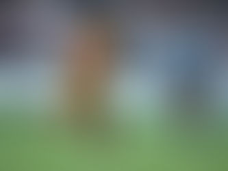 香港欖球總會宣佈「香港國際七人欖球賽」Magnificent 7 首兩位登上香港榮譽冊的球員:中國欖球先生 – 張志強, 及自2000年起的香港得分記錄保持者 – 英格蘭的高靈士( Ben Golli