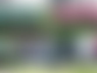 「女子頂級板球聯賽」T20 第一戰 Jade Jets 先拔頭籌