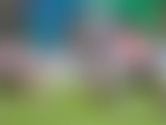 「女子十五人欖球世界盃」
香港最後一戰負日本