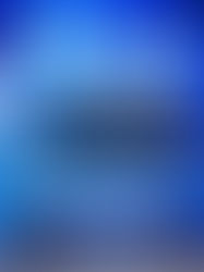 香港金牛2025/26新球季誓師大會. 劍指NBL三連霸　全隊同心再創香港籃球新篇章.