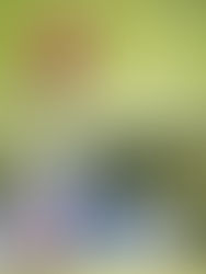 陳芷澄出戰「盈豐香港女子高爾夫球公開賽」2020, 矚目回歸香港奧運代表兼前冠軍頭銜,回歸香港粉嶺舊場爭先.