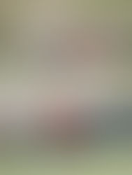 香港棍網球公開賽完成首兩日賽事, 中國香港代表隊晉身男子組決賽, 東道主小組首名入女子組四強.