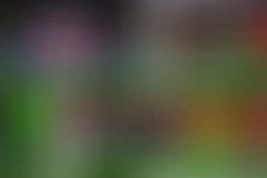 白禮頓首次稱霸香港足球會渣打七人足球賽