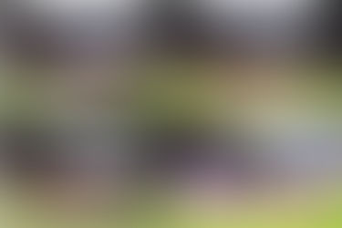 「2025年國泰/滙豐香港國際七人欖球賽」 以破紀錄之姿揭開序幕 