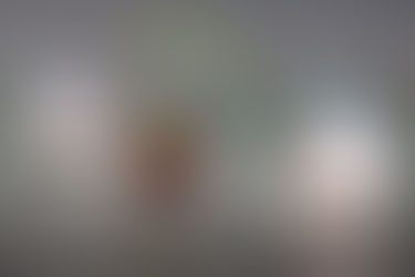 RED BULL DRAGON ROAR龍舟障礙賽
7月11日載譽歸來, 比賽名額將增至66個