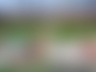 Japan Men 2015 Asia Rugby Champions