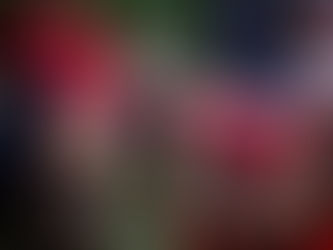 「盛寶金融本地男子超級欖球聯賽」
蘇格蘭人背水一戰鬥華利