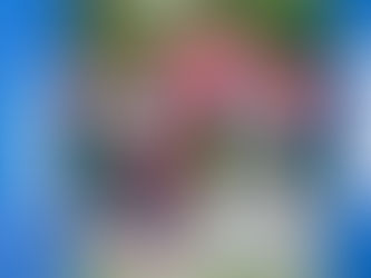 「畢馬威女子欖球超級聯賽」
港會奏凱歌晉身前四