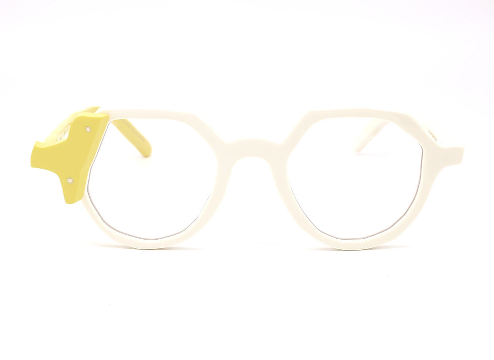 Masahiro Maruyama - MM0097 - Optical front view