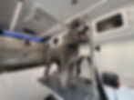 Freshly groomed gray dog standing on a grooming table inside a mobile grooming van
