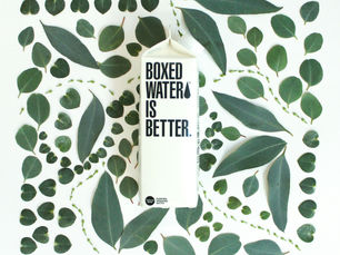 Marketing with Purpose: Why ‘Sustainability’ Needs More Than a Logo