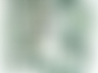 Marketing with Purpose: Why ‘Sustainability’ Needs More Than a Logo