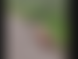 Caixão com Vestígios de Sangue é Descoberto em Matagal no Bairro Bauxita, em Ouro Preto