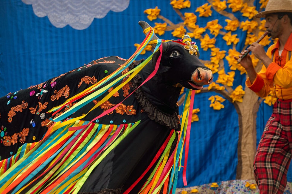 “É Dia de Boi” Encanta Comunidades de São Bartolomeu e Barroca com Celebração da Cultura Popular