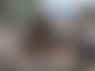 Obras de revitalização em cemitérios municipais avançam em Ouro Preto